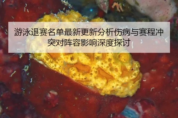游泳退赛名单最新更新分析伤病与赛程冲突对阵容影响深度探讨